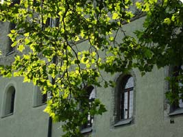 baumschule baumschnitt landschaftsbau österreich