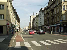 Baumpflanzung, Gehölz