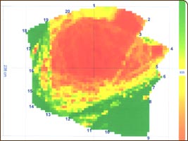 Baumstatistik, Fäulegrafik