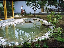 Biotop mit Wasserpflanzen, Gartengestaltung Salzburg, Steiermark, Kärnten und Oberösterreich